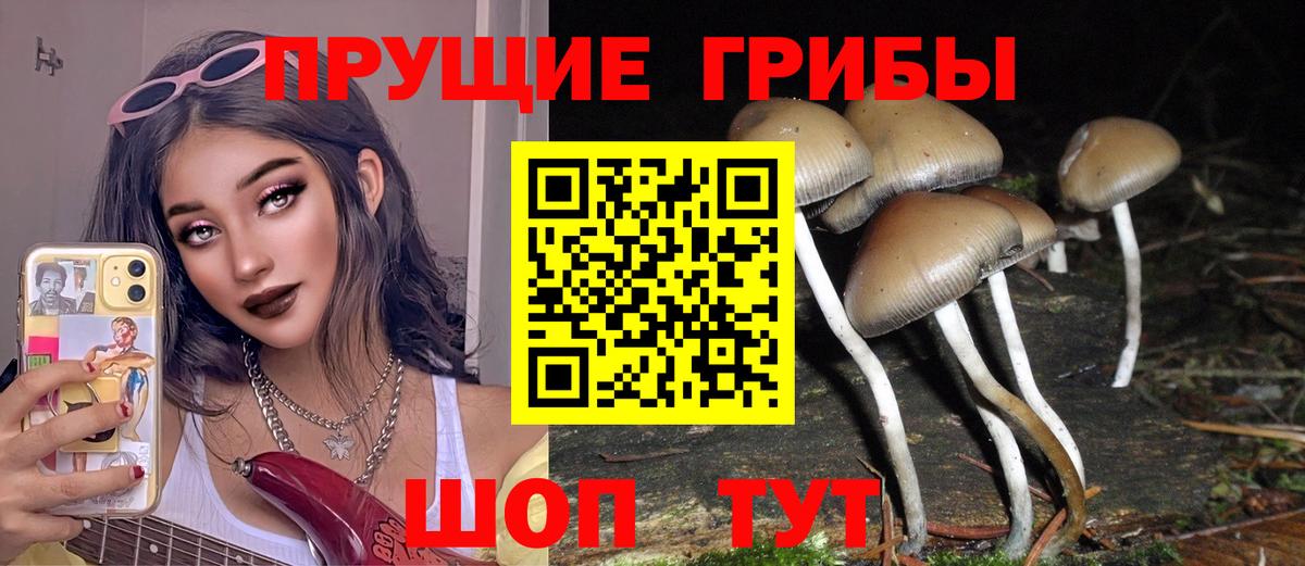 Галлюциногенные грибы Psilocybe Стерлитамак